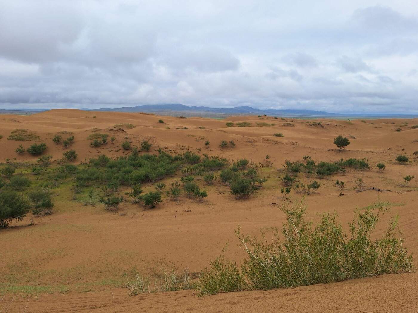 Gobi Desert landscape during the Mongolia Trail Run